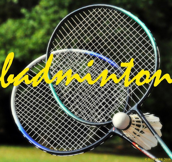 Turnaj v badmintonu